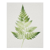 Minimalistische groene varen botanische illustrati perfect poster (Voorkant)