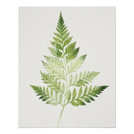 Minimalistische groene varen botanische illustrati perfect poster (Voorkant)