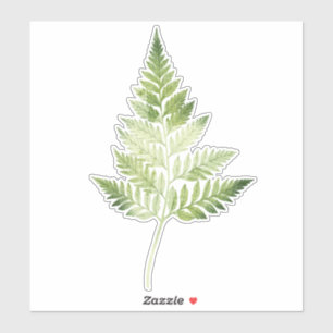 Minimalistische groene varen botanische illustrati sticker