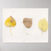 Minimalistische herfstbladeren Kunstprint – Neutra Poster (Voorkant)