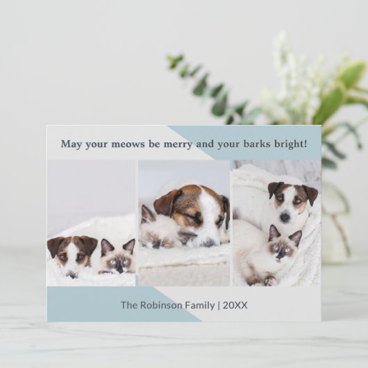 Minimalistische Hond Kat Fotocollage Moderne Kerst Feestdagenkaart (Staand voorkant)
