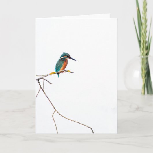 Minimalistische IJsvogel op wit voor vogelaars Kaart (Voorkant)