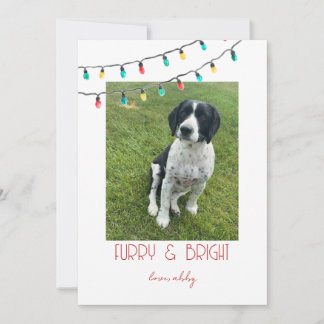 Minimalistische kerstkaart voor huisdieren - Harig