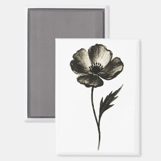 Minimalistische Klaproos – Monochrome Botanische I Magneet