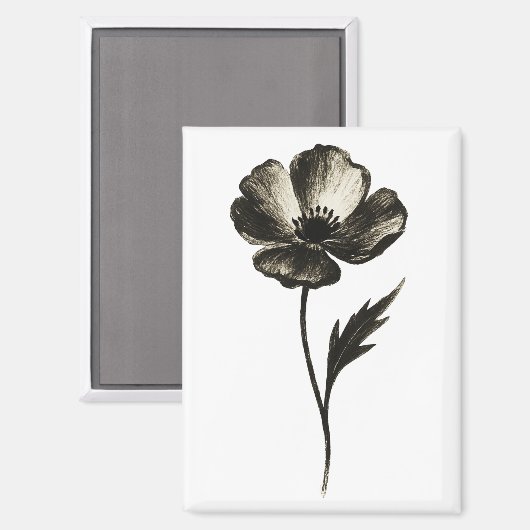 Minimalistische Klaproos – Monochrome Botanische I Magneet (Voorkant / Achterkant)