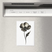 Minimalistische Klaproos – Monochrome Botanische I Magneet (Insitu (Vaatwasser))