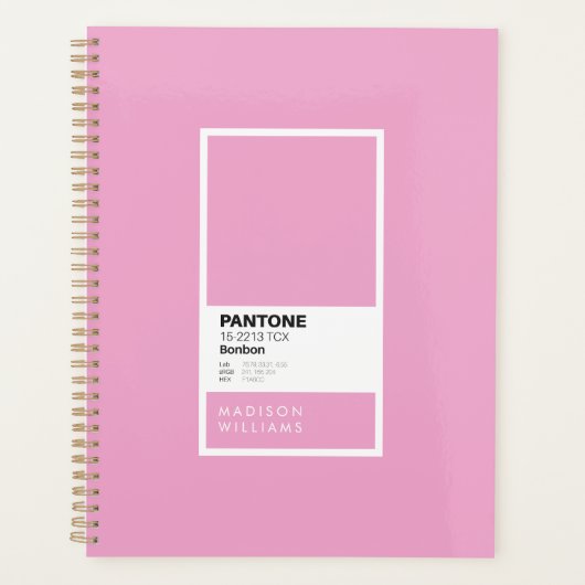 Minimalistische Kleurenpalet Staalkaart Aangepaste Planner (Voorkant)