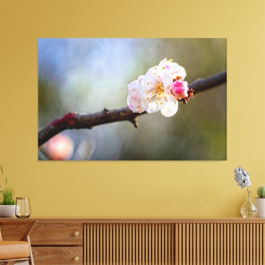 Minimalistische kunst van Japanse abrikozen in Blo Canvas Afdruk (Insitu (Woonkamer))