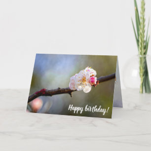 Minimalistische kunst van Japanse abrikozen in Blo Kaart