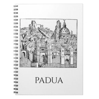 Minimalistische lijntekening van middeleeuwse Padu Notitieboek