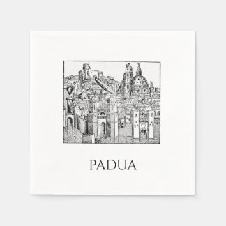 Minimalistische lijntekening van middeleeuwse Padu Servet