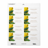 Minimalistische Moderne Keuken Citroen Etiket (Full Sheet)