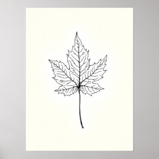 Minimalistische moderne kunst .Single Maple Leaf L Poster