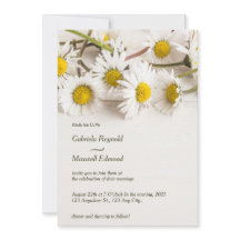 Minimalistische moderne Natuur wit madeliefje brui