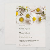 Minimalistische moderne Natuur wit madeliefje brui Kaart (Voorkant / Achterkant)