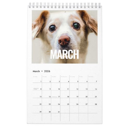 Minimalistische moderne script 2020-familiefoto kalender (Mar 2026)