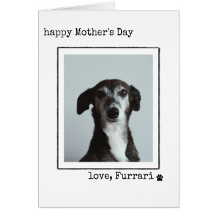 Minimalistische Moederdag Fotokaart Van de Hond