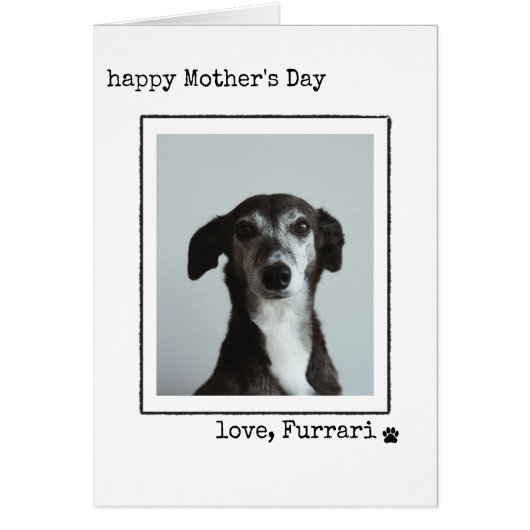 Minimalistische Moederdag Fotokaart Van de Hond  (Voorkant)