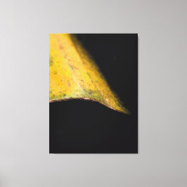 Minimalistische Natuurfotografie Blad in Schaduw Canvas Afdruk