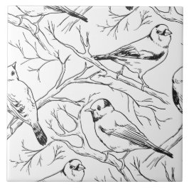 Minimalistische Noord-Amerikaanse Vogels Lijnkunst Tegeltje