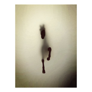 Minimalistische paard abstract paard oprijzend uit foto afdruk