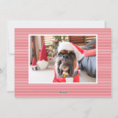 Minimalistische Pin Stripe Kerstmis Fotojaar Feestdagenkaart (Achterkant)