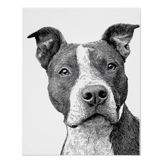 Minimalistische Pitbull Silhouette Zwart-wit Perfect Poster (Voorkant)