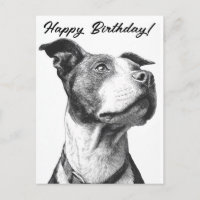 Minimalistische Pitbull zwart-wit verjaardagskaart