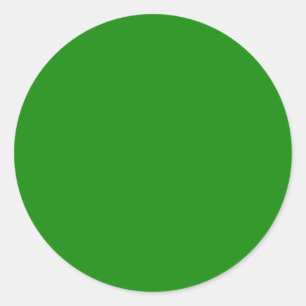 Minimalistische Professionele Solid India Groene K Ronde Sticker