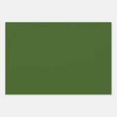 Minimalistische Rendier Rood Groen Wit Kerstmis Inpakpapier Vel (Voorkant 2)