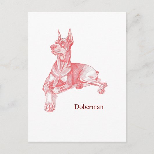 Minimalistische rode potlood Dobermannschets Briefkaart (Voorkant)