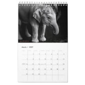 Minimalistische roze tweetonige kalender (Mar 2027)