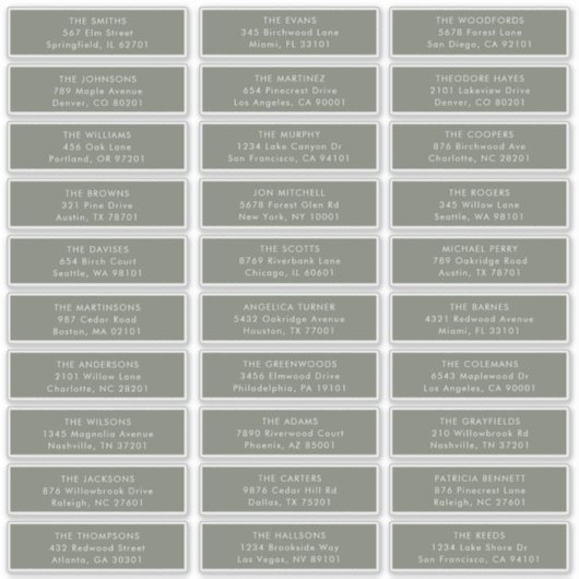 Minimalistische Sage Groene Bruiloft Gast Adreseti Sticker (Voorkant)