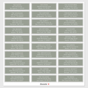 Minimalistische Sage Groene Bruiloft Gast Adreseti Sticker