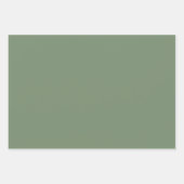 Minimalistische Sage Groene effen effen elegant Inpakpapier Vel (Voorkant 3)