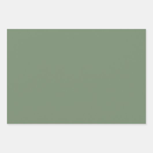 Minimalistische Sage Groene effen effen elegant Inpakpapier Vel (Voorkant 2)
