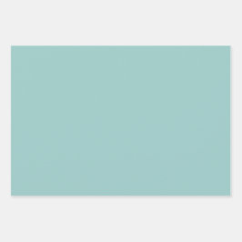 Minimalistische salie Groene Duidelijke Effen Eenv Inpakpapier Vel