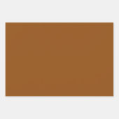 Minimalistische sinaasappel & bruin Effen Kleuren Inpakpapier Vel (Voorkant 3)