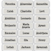 Minimalistische  stijl meerdere naamstickers sticker (Voorkant)