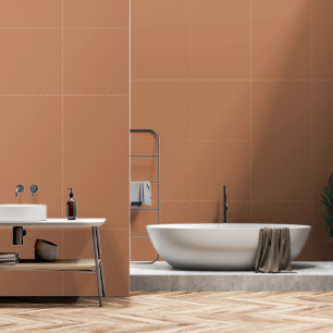 Minimalistische terracotta klei effen effen vlakke behang