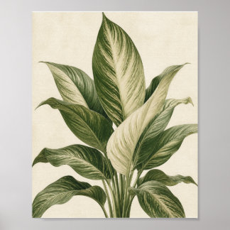 Minimalistische Tropische Botanische Blad Kunstpri Poster