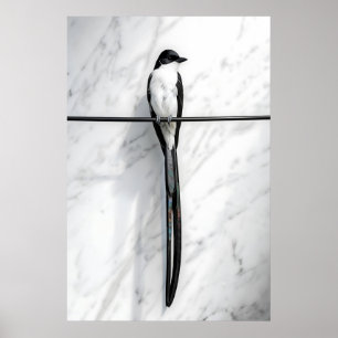 Minimalistische vogel op draad fotografie poster