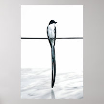 Minimalistische vogel op draad fotografie