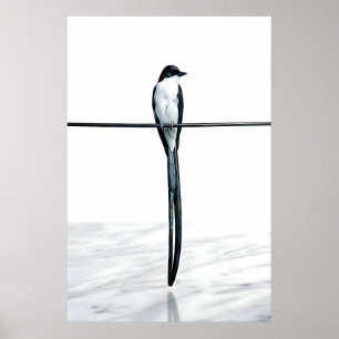 Minimalistische vogel op draad fotografie poster