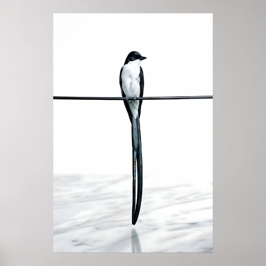 Minimalistische vogel op draad fotografie poster (Voorkant)