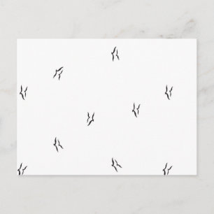 Minimalistische Vogelansichtkaart Zwart Wit Patroo Briefkaart