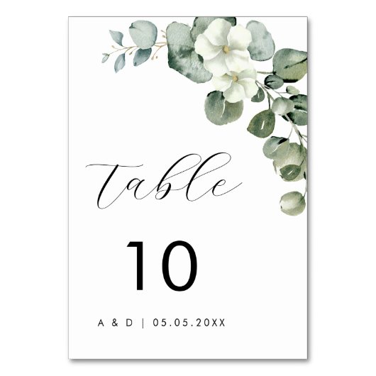 Minimalistische Waterverf eucalyptus bloemenbruilo Kaart (Achterkant)
