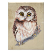 Minimalistische Waterverf Print Art voor Uil Lover Perfect Poster (Voorkant)