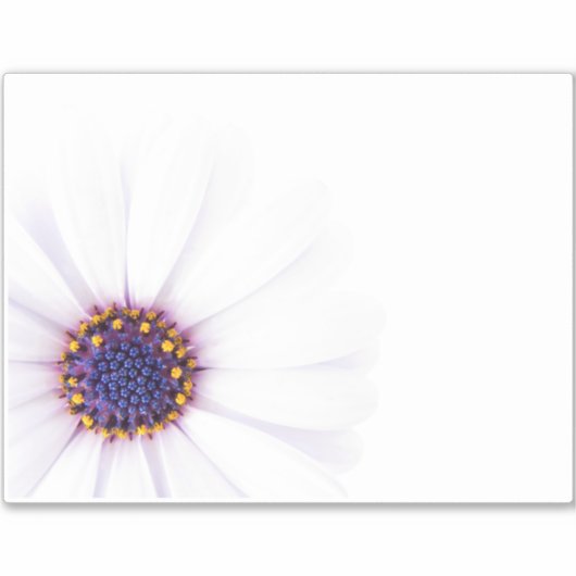 Minimalistische witte Daisy bloem op witte achterg Sticker (Voorkant)