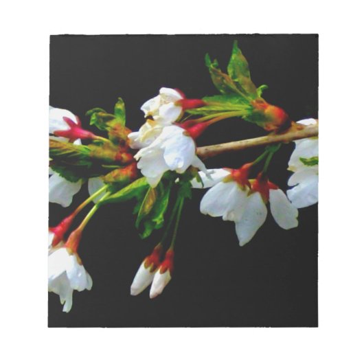 Minimalistische zwart wit bloeiende kersenbloesems notitieblok (Voorkant)